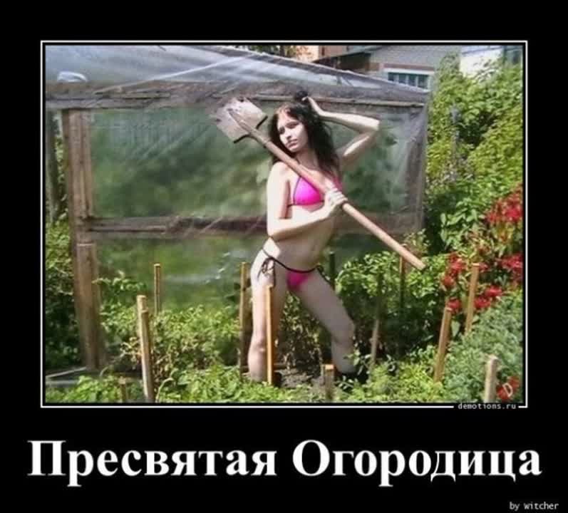Толстая соседка позвала на палку чая мужчину Толстая соседка позвала на палку чая мужчину