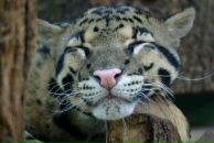 Фотография Кузьминой Маши