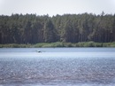 Мішка Архірей фотография #9 (источник - https://vk.com/id157861315)