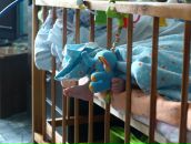 Фотография Ковалевой Ольги