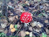 Фотография Морарь Екатерина