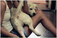 Фотография Смирновой Юлии