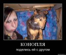 Вован Ніколаєв фотография #40 (источник - https://vk.com/id33479014)