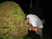 Фотография Шевченко Юрия