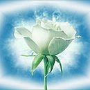 Марішка Руцька фотография #34 (источник - https://vk.com/id157698249)