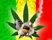 Вова Матвиец фотография #1