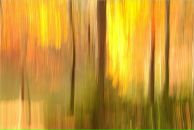 Надя Ka фотография #47 (источник - https://vk.com/id440421)