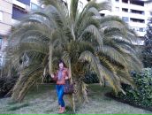 Олеся Гринів фотография #17 (источник - https://vk.com/id51681868)