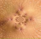 Ян Сётин фотография #23 (источник - https://vk.com/id7009662)