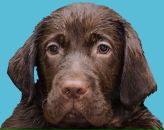 Фотография Колдаева Жени