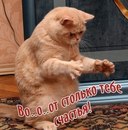 Ксюшенька Острокамінська фотография #39 (источник - https://vk.com/id154831216)