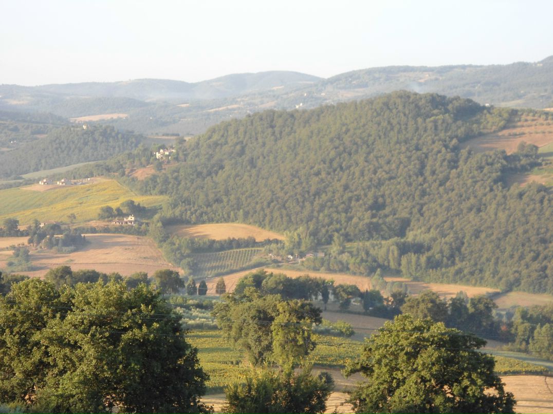 Dmitry Davidenko фотография #33