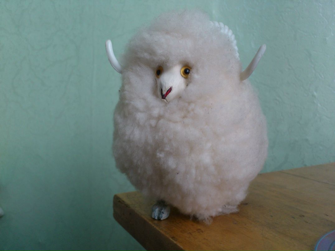 Руслан Насрулаев фотография #5