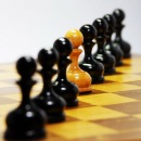 Любчик Нанівський фотография #17 (источник - https://vk.com/id44930100)