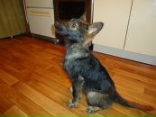 Фотография Дмитриевой Марии