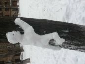 Фотография Табакмана Антона