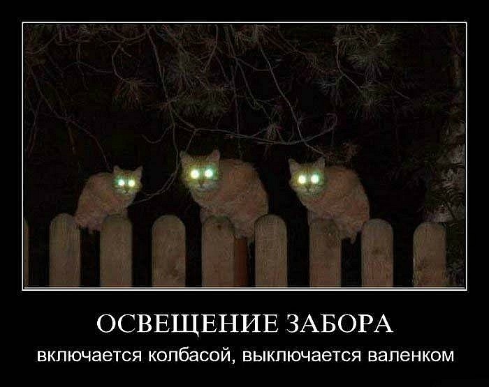 Евгений Трякин фотография #29