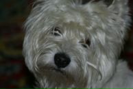 Фотография Довбни Оксаны