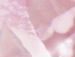 Діана Луцик фотография #36 (источник - https://vk.com/id142734018)