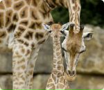 Фотография Егоровой Елены