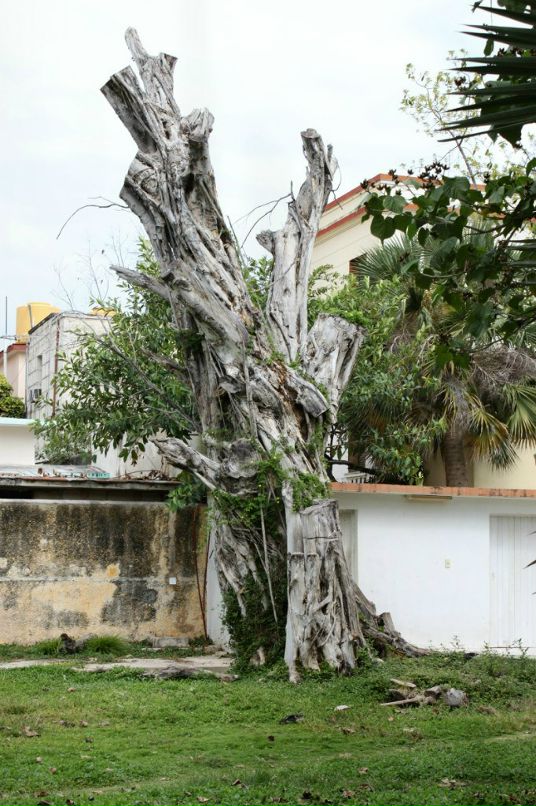 Александр Закатаев фотография #10