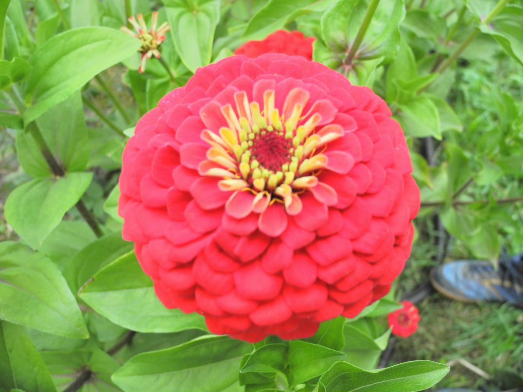 Илья Маслов фотография #37