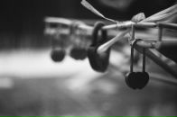 Фотография Гришечко Светланы