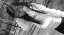 ☆ School фотография #12 (источник - https://vk.com/id80684959)