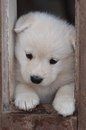 Діася Гой фотография #7 (источник - https://vk.com/id162675994)