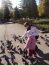 Вікусічка Січкоріз фотография #23 (источник - https://vk.com/id82463977)