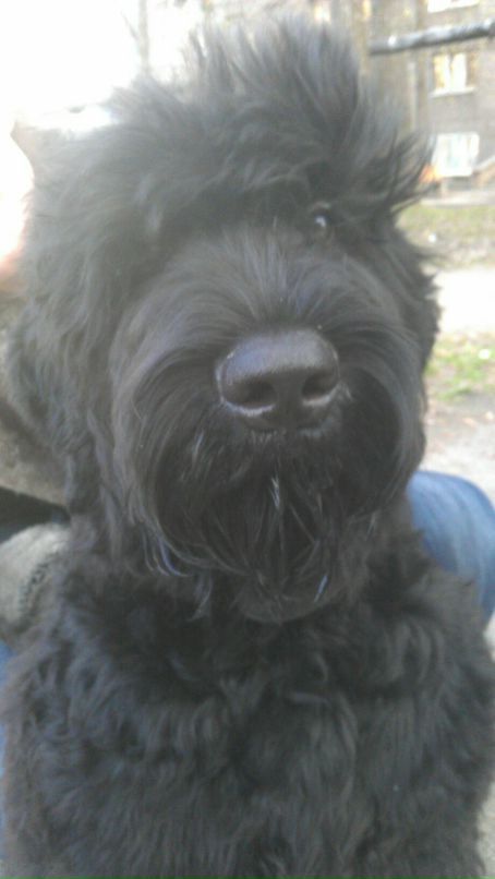 Даниил Тимофеев фотография #19