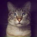 Фотография Сириной Надинки