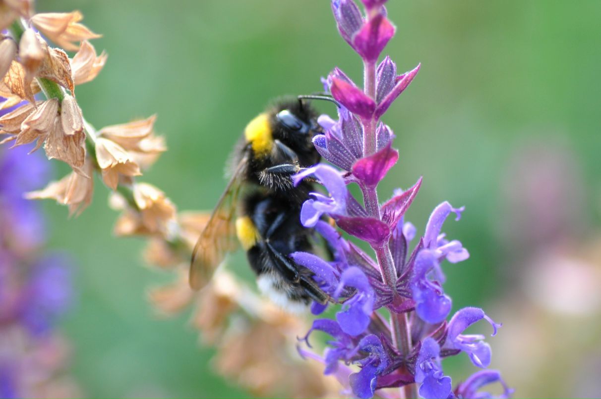 Юля Бойко фотография #42