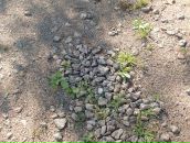 Андрей Прокопенко фотография #38 (источник - https://vk.com/id3533194)