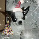 Фотография Борт Дмитрий