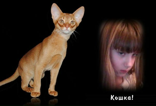 Мария Симоненко фото №33