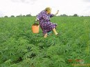 Дімон Хвостенко фотография #42 (источник - https://vk.com/id140985360)