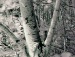 Марінка Білик фотография #33 (источник - https://vk.com/id158880350)