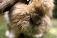 Фотография Юлии Юлии