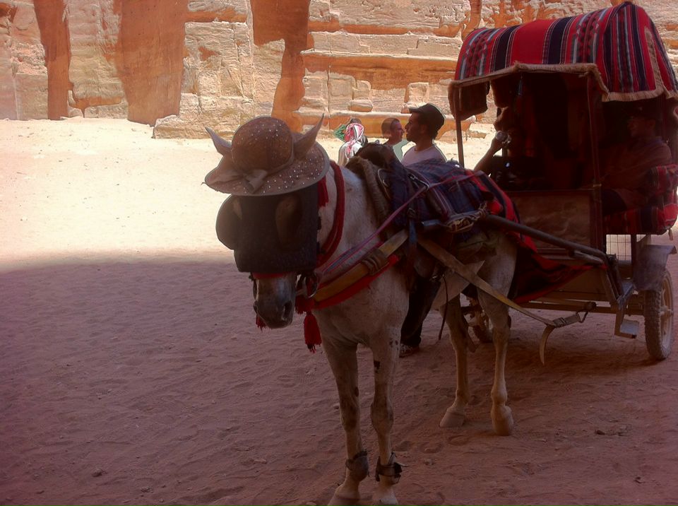 Дмитрий Алексеев фотография #14