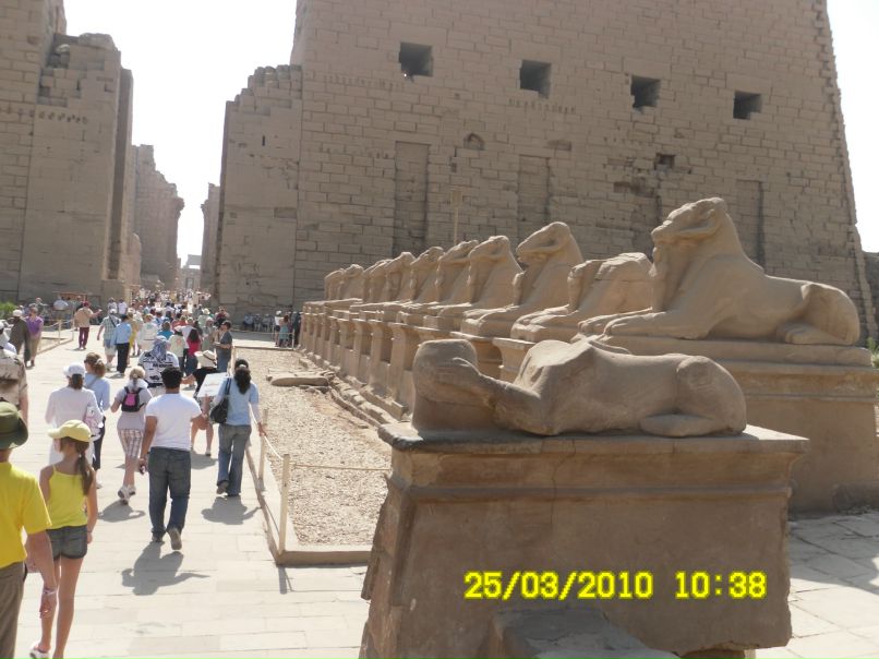 Дмитрий Николенко фотография #48