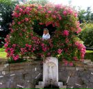 Світлана Італія фотография #9 (источник - https://vk.com/id132419311)