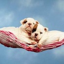 Люба Матвієва фотография #46 (источник - https://vk.com/id147111968)
