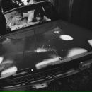 Фотография Шишова Саши