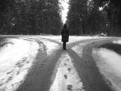 Фотография Соколовой Алины