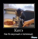 Котэ ^_^ фотография #4 (источник - https://vk.com/id79989265)