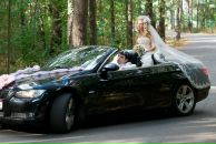 Фотография Тигр Эд