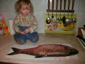 Фотография Андреева(юркова) Оксаны