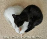 Віра Зененкова фотография #40 (источник - https://vk.com/id108676396)