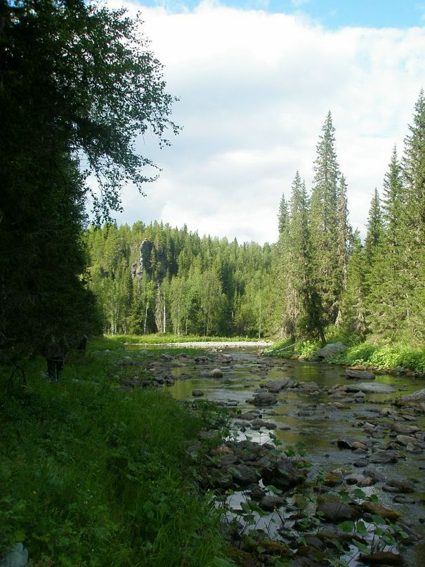 Дмитрий Луценко фотография #13